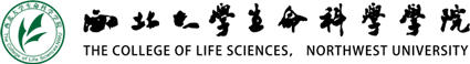 十大外围足球平台app